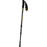 Палки треккинговые TALBERG CLASSIC POLE (1 пара, чёрный) TLP-200 CHERNYII